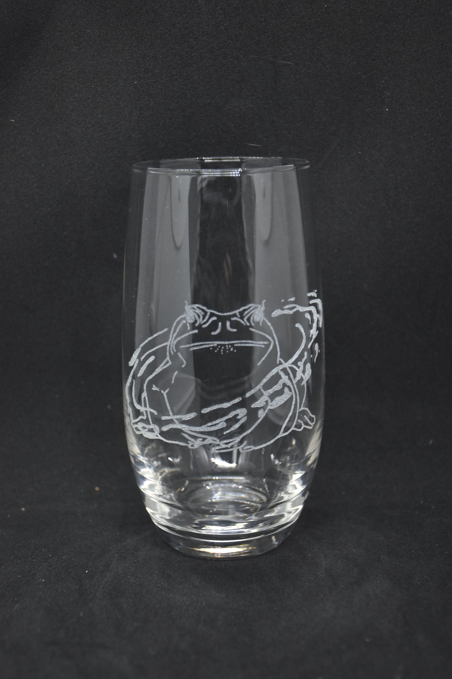 Sorcerer Frog Animal Companion - TTRPG Engraved Glasses