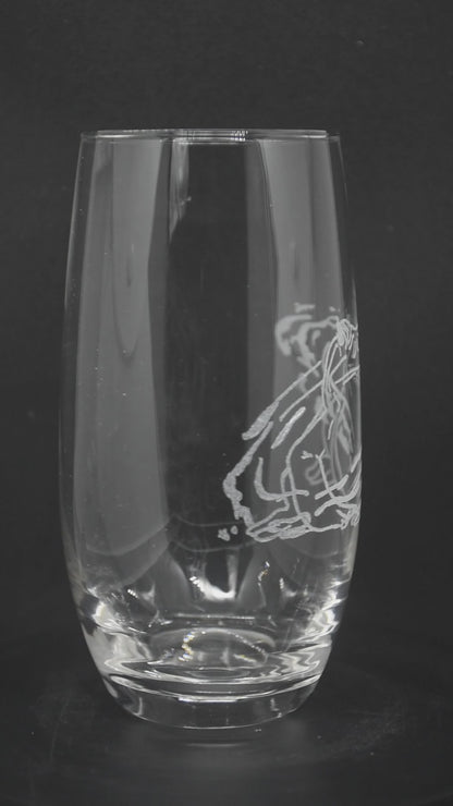 Sorcerer Frog Animal Companion - TTRPG Engraved Glasses